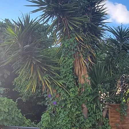 度假居 O'soleil 土伦